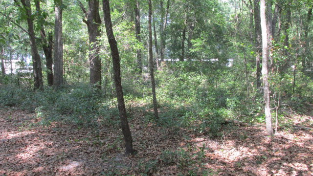 157th St, Chiefland, FL 32626