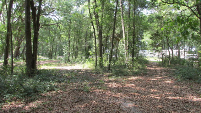 157th St, Chiefland, FL 32626