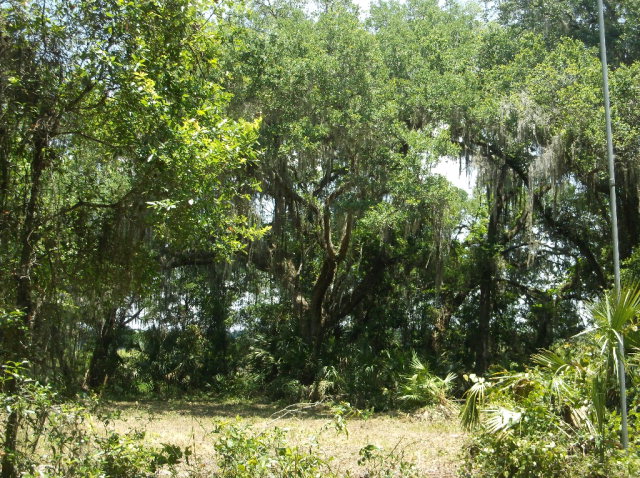 1.04 acr 45th Terr, Chiefland, FL 32626