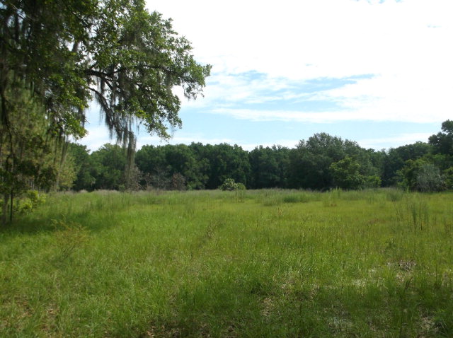 8751 30th St, Chiefland, FL 32626