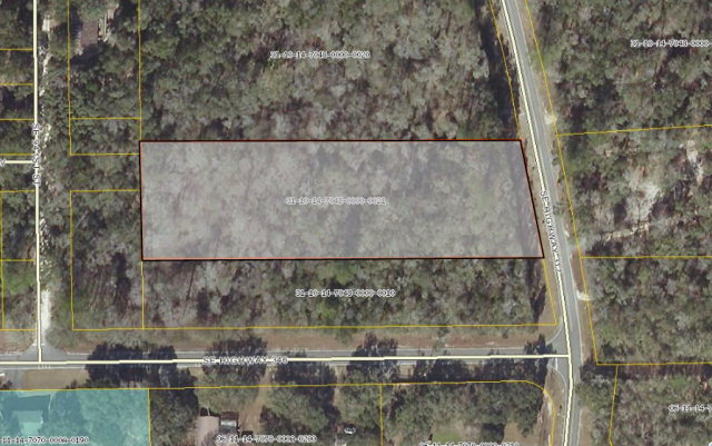 00 County Road 317, Old Town, FL 32628