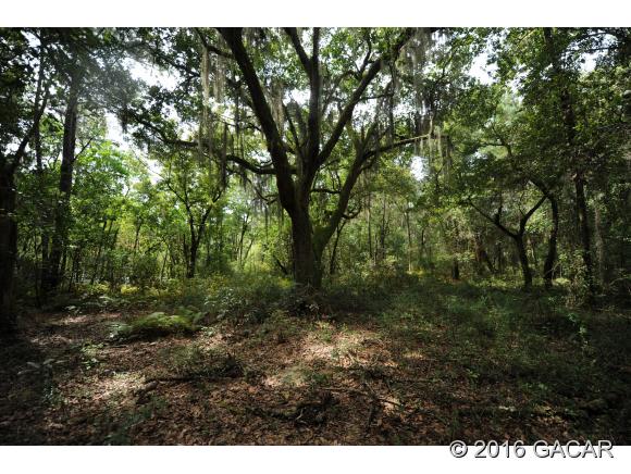 21605 Northeast 115th Avenue, Earleton, FL 32631