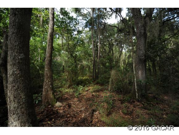 21605 Northeast 115th Avenue, Earleton, FL 32631