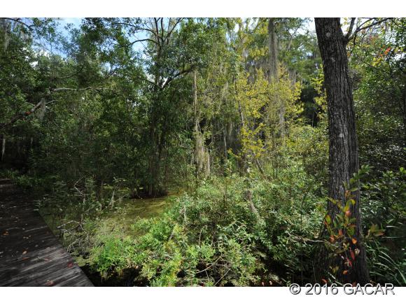 21605 Northeast 115th Avenue, Earleton, FL 32631