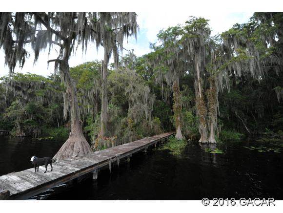 21605 Northeast 115th Avenue, Earleton, FL 32631