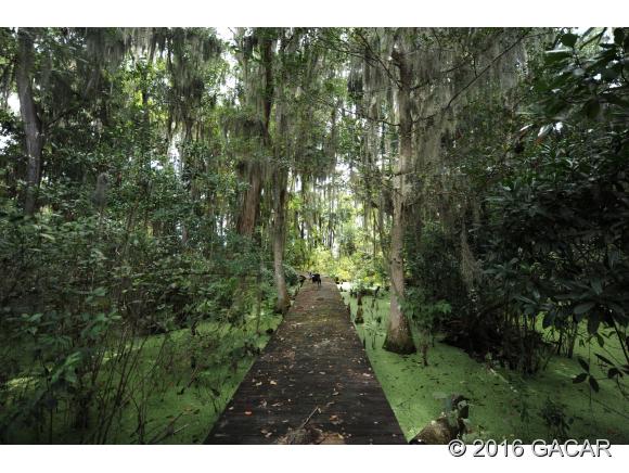 21605 Northeast 115th Avenue, Earleton, FL 32631