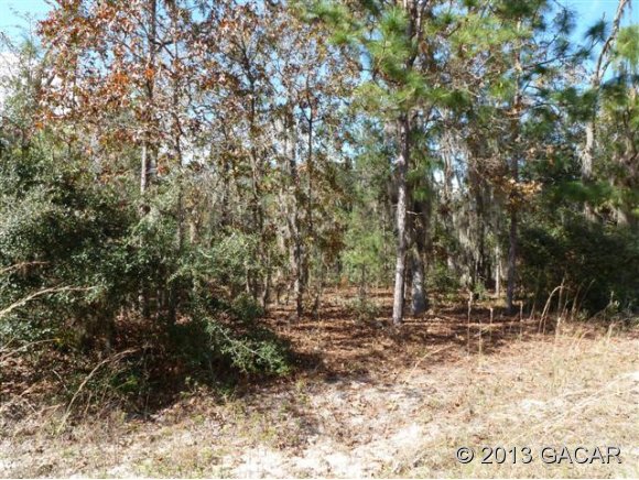 105 Covey WAY, Hawthorne, FL 32640