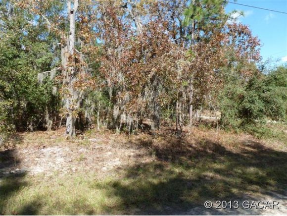 105 Covey WAY, Hawthorne, FL 32640