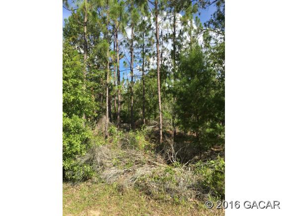 290 Whirlwind Loop, Hawthorne, FL 32640