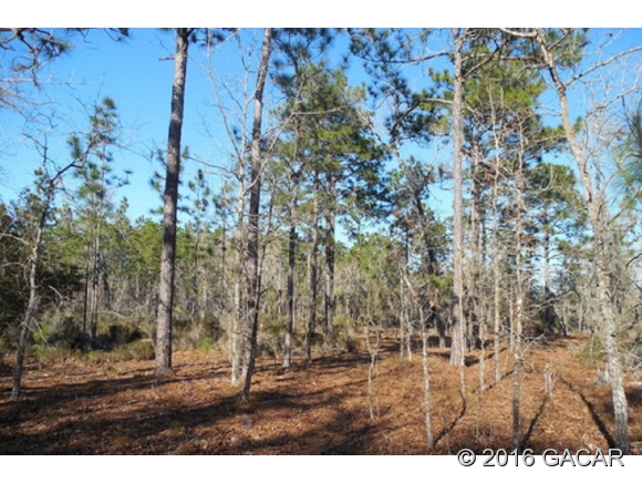 00 Quail Way, Hawthorne, FL 32640