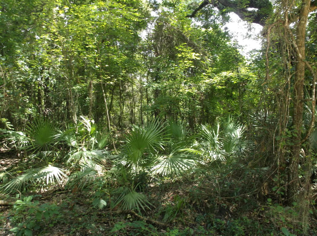 165 SHE SHE RD, Hawthorne, FL 32640