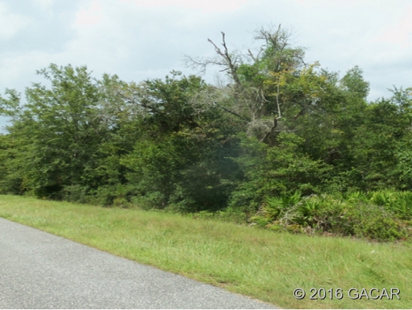 Lot 4 US Highway 301 - Hawthorne Busi Park, Hawthorne, FL 32640