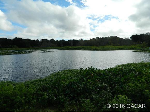 106 Little Orange Lake Drive, Hawthorne, FL 32640