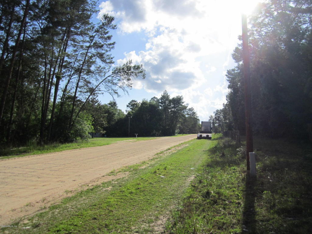 137 Lake Susan Rd, Hawthorne, FL 32640