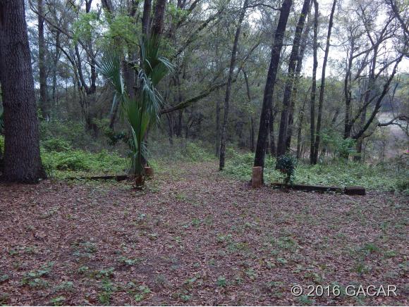 1233 County Road County Rd 20A, Hawthorne, FL 32640
