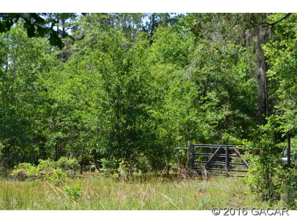 9126 South Highway US Hwy 301, Hawthorne, FL 32640