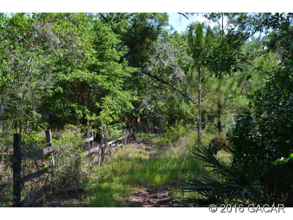 9126 South Highway US Hwy 301, Hawthorne, FL 32640