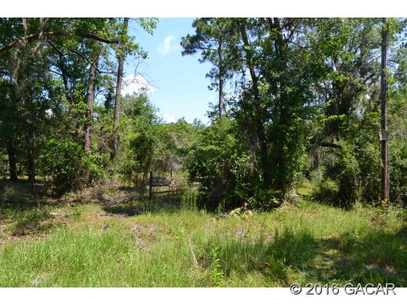 9126 South Highway US Hwy 301, Hawthorne, FL 32640