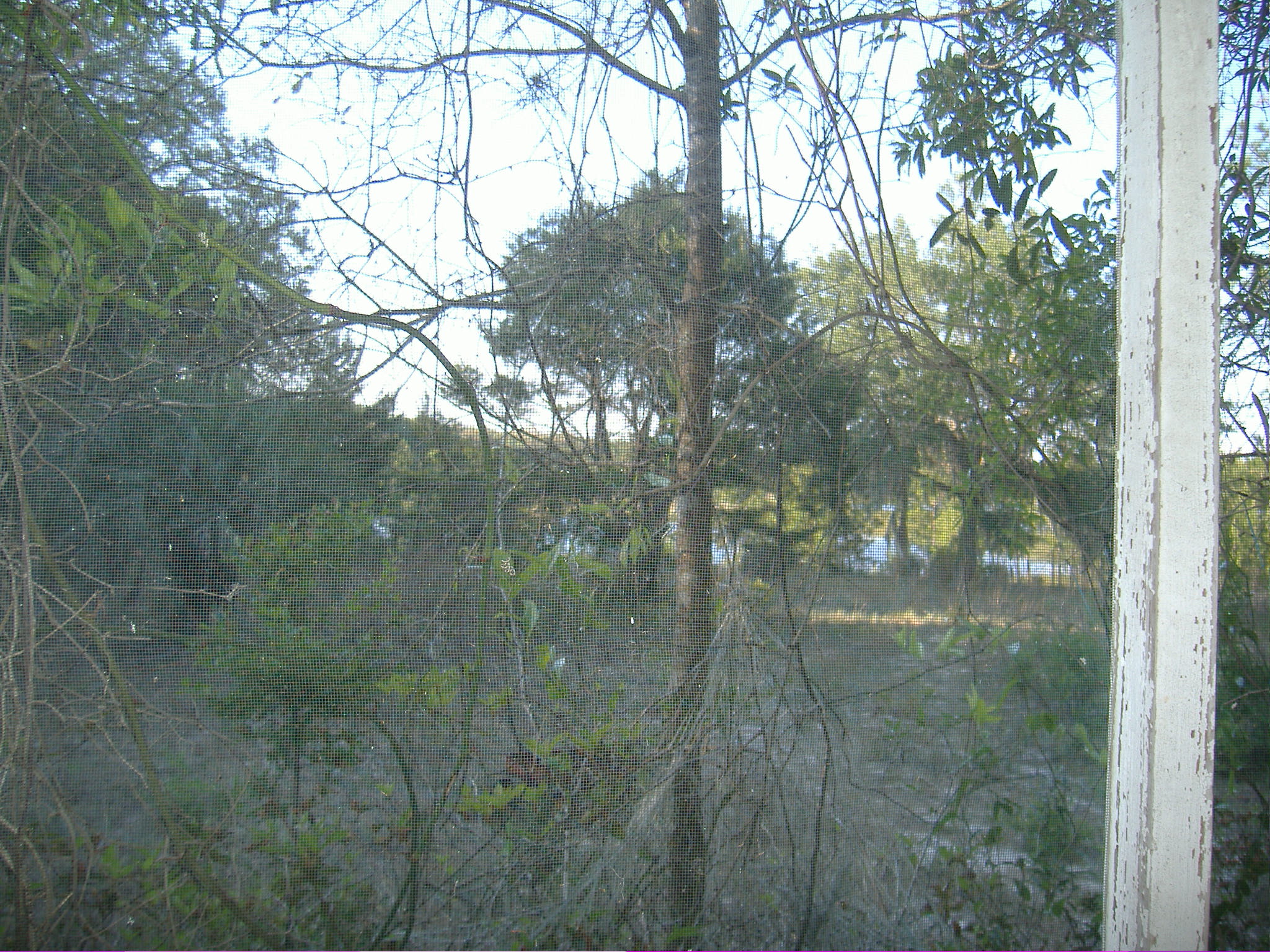 1448 Baden Powell Rd, Hawthorne, FL 32640