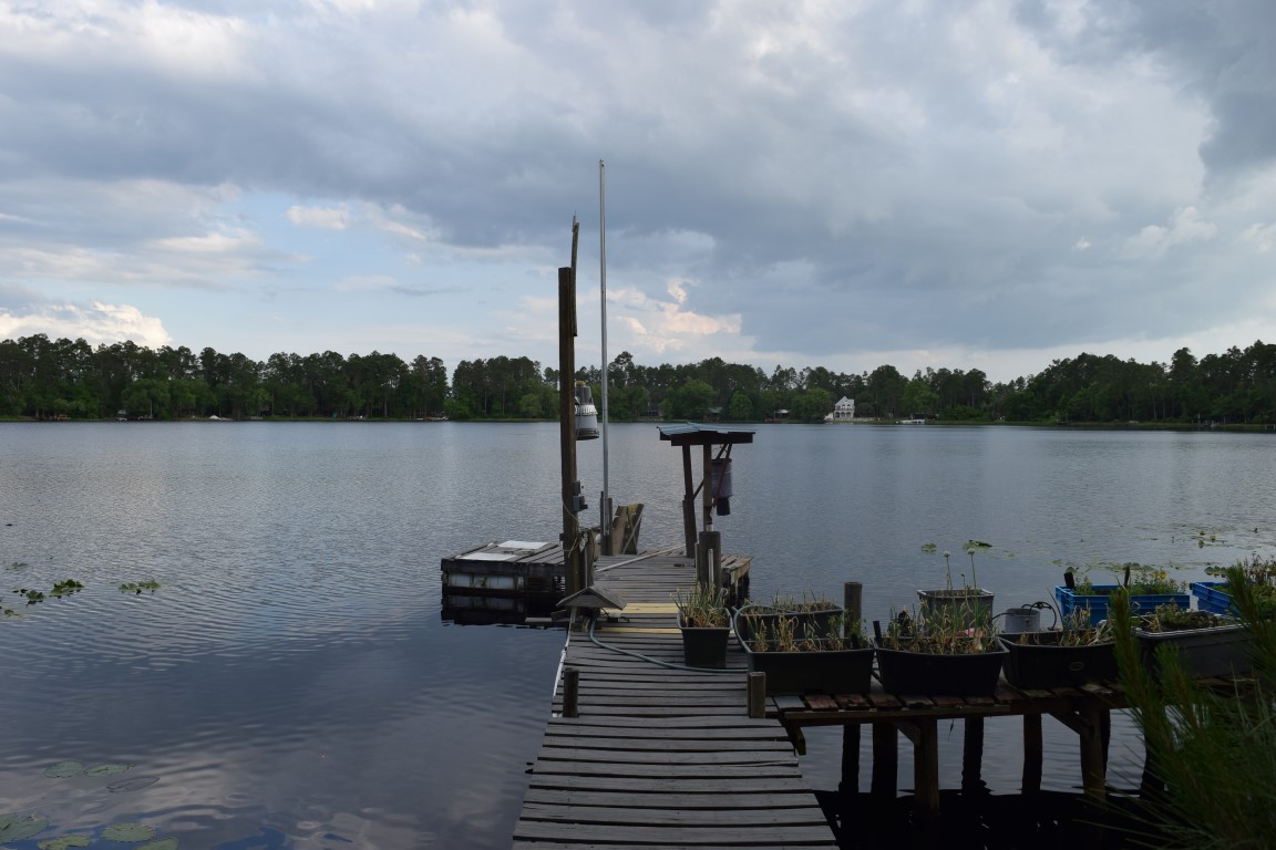 313 Riley Lake Dr., Hawthorne, FL 32640