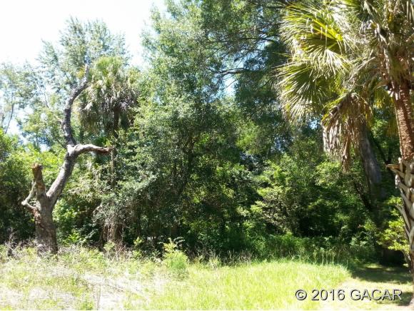 XX Northwest 188th Avenue, High Springs, FL 32643