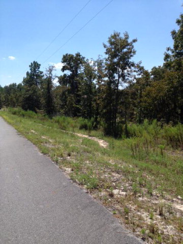LOT 6 24th Loop, High Springs, FL 32643