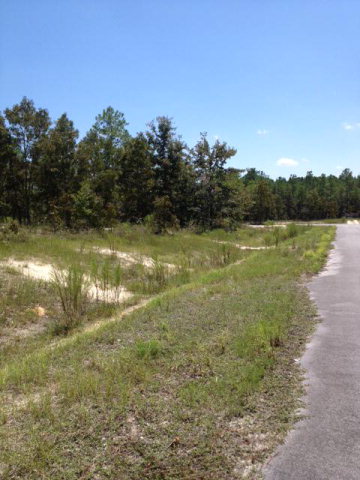 LOT 10 74th Ave, High Springs, FL 32643
