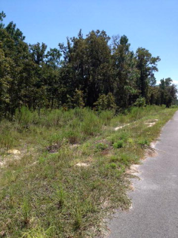 LOT 2 74th Ave, High Springs, FL 32643