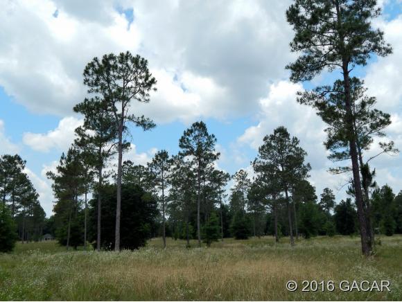 00 SW Marynik DR, High Springs, FL 32643