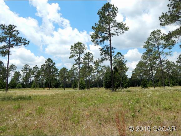 00 SW Marynik DR, High Springs, FL 32643