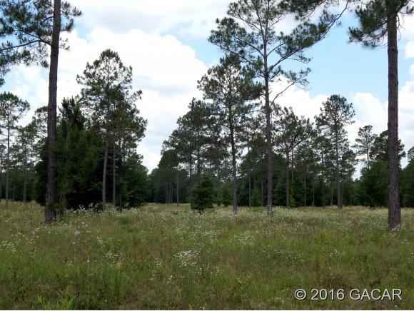 00 SW Marynik DR, High Springs, FL 32643