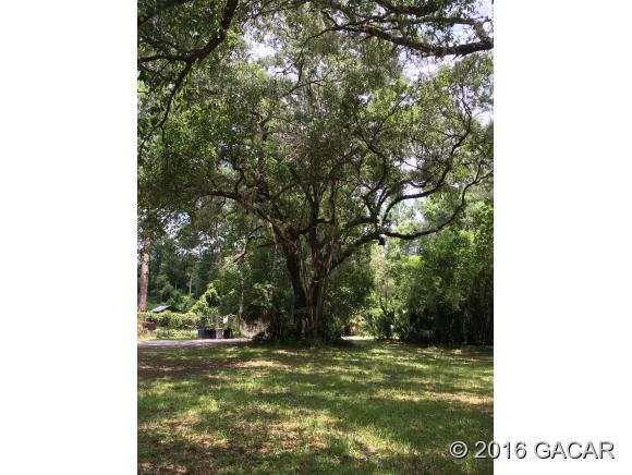 203 Northeast 8th Avenue, Micanopy, FL 32643