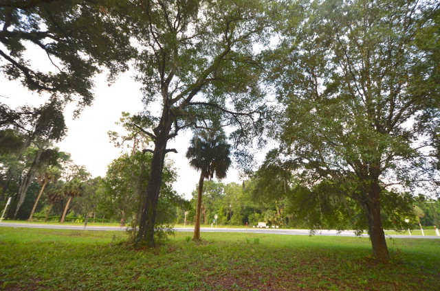 Lot 4 4th Ave, Chiefland, FL 32644