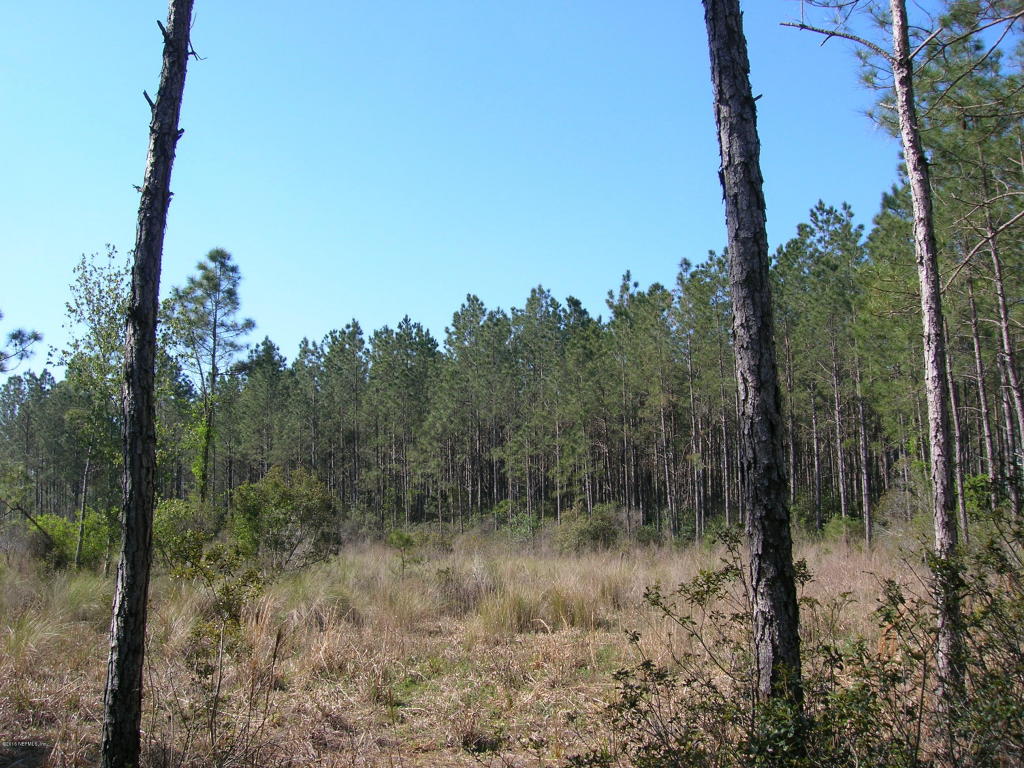 00 PURDUE RD, Chiefland, FL 32644
