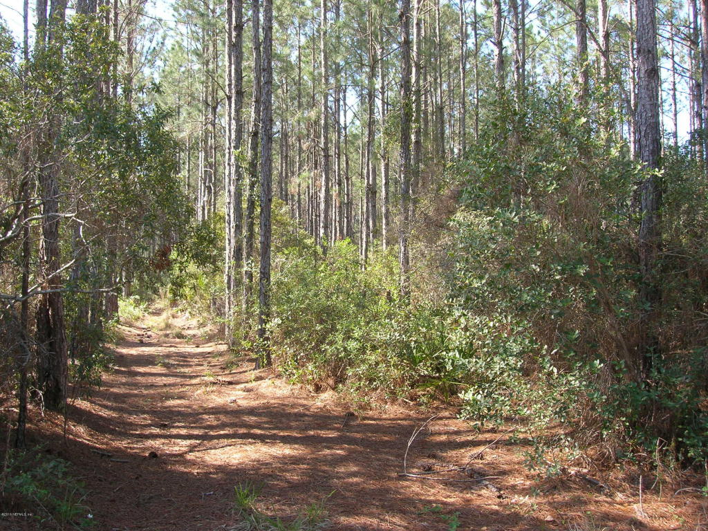 00 PURDUE RD, Chiefland, FL 32644