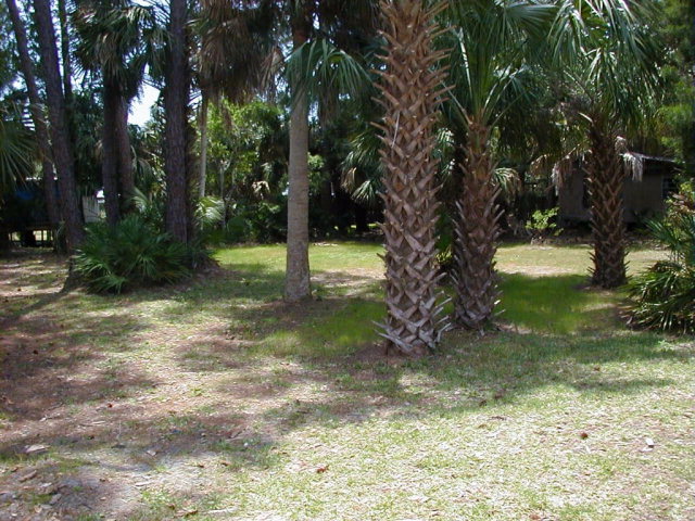 60 7th Ave, Horseshoe Beach, FL 32648