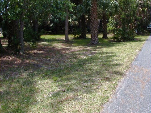 60 7th Ave, Horseshoe Beach, FL 32648