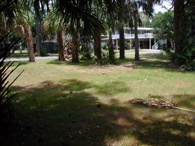 60 7th Ave, Horseshoe Beach, FL 32648