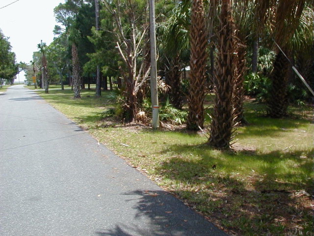 60 7th Ave, Horseshoe Beach, FL 32648