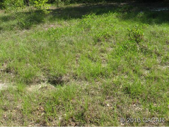 00 Dogwood Circle, Keystone Heights, FL 32656