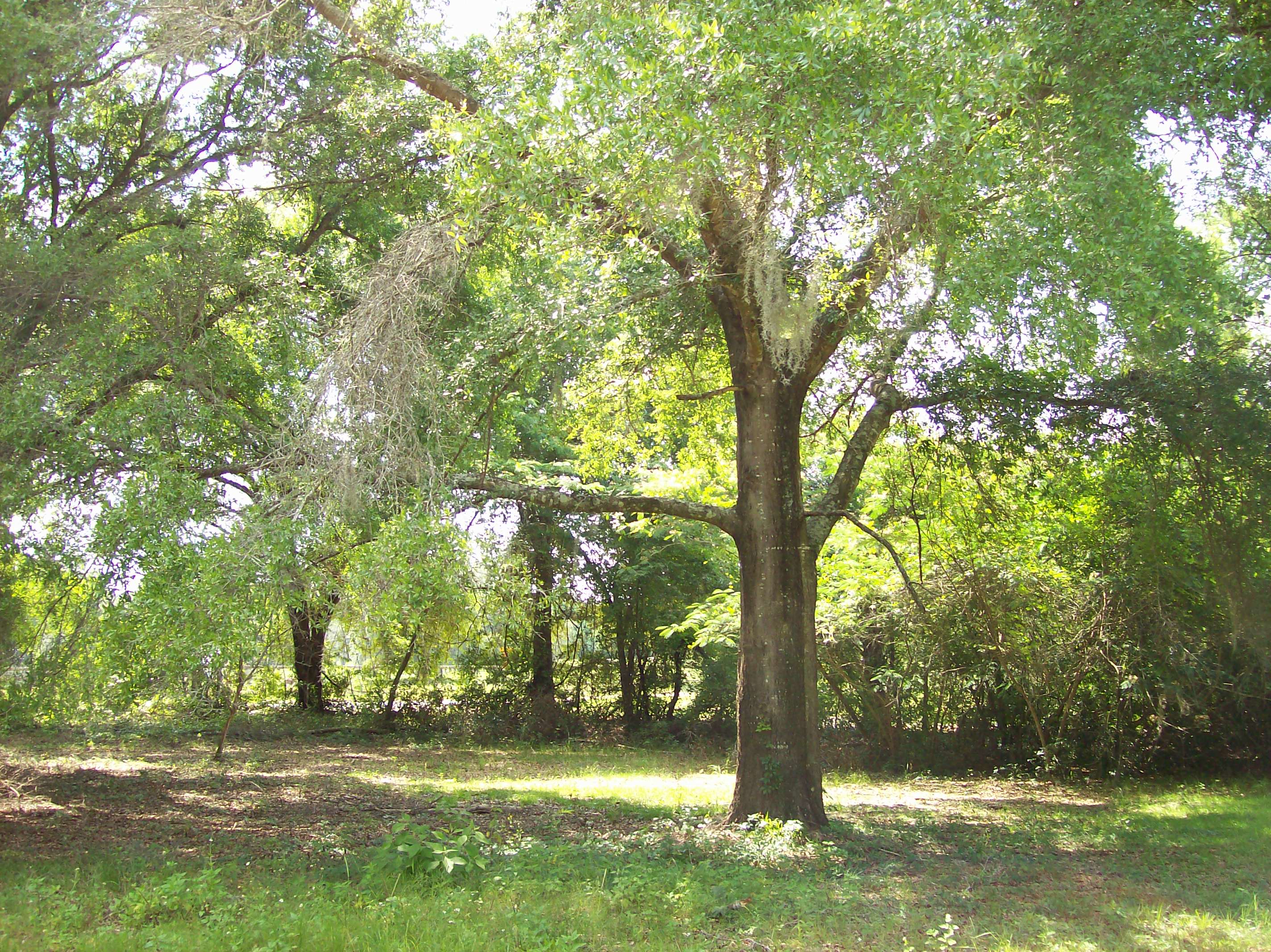 CR 214, Keystone Heights, FL 32656