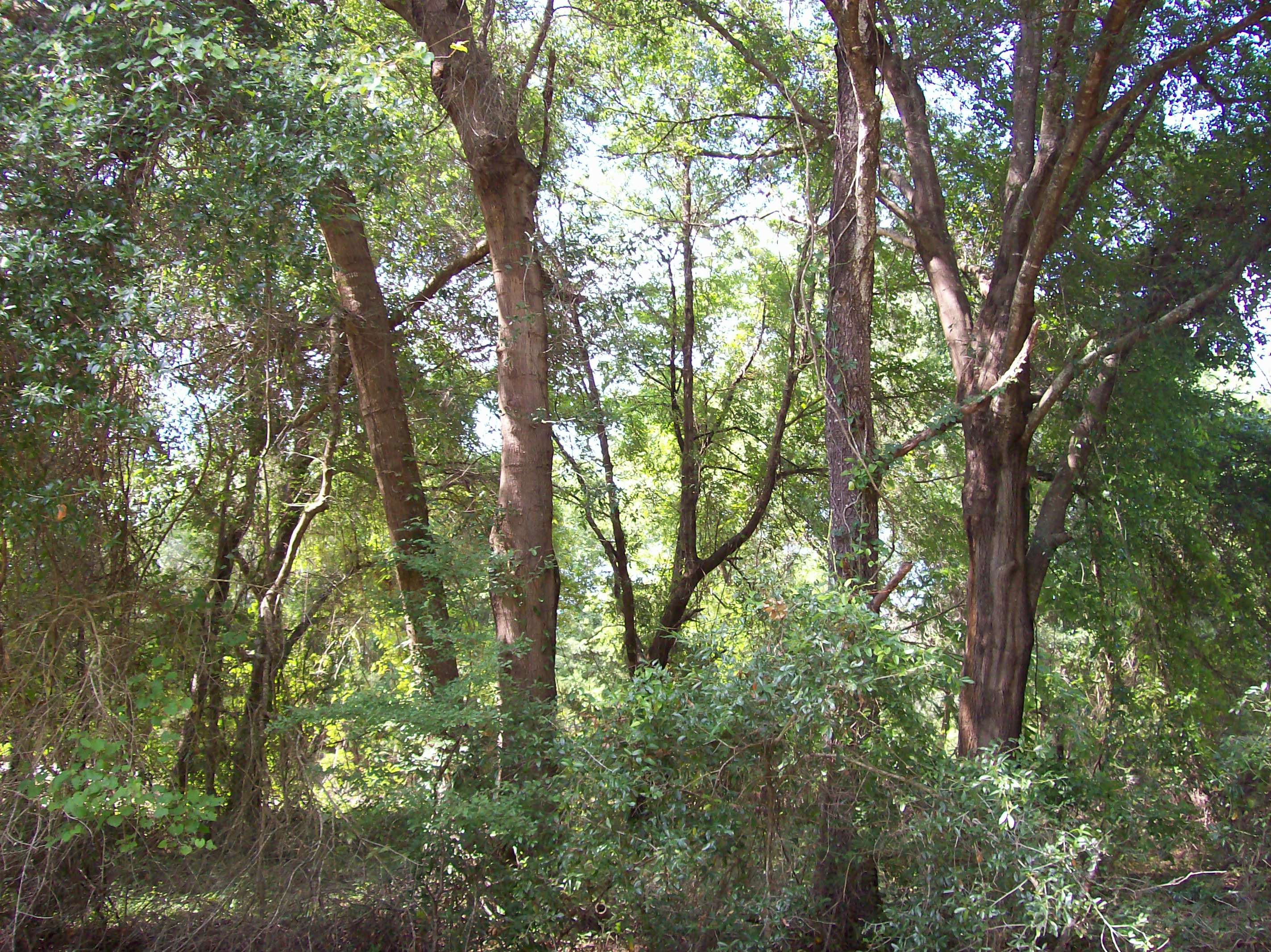 CR 214, Keystone Heights, FL 32656