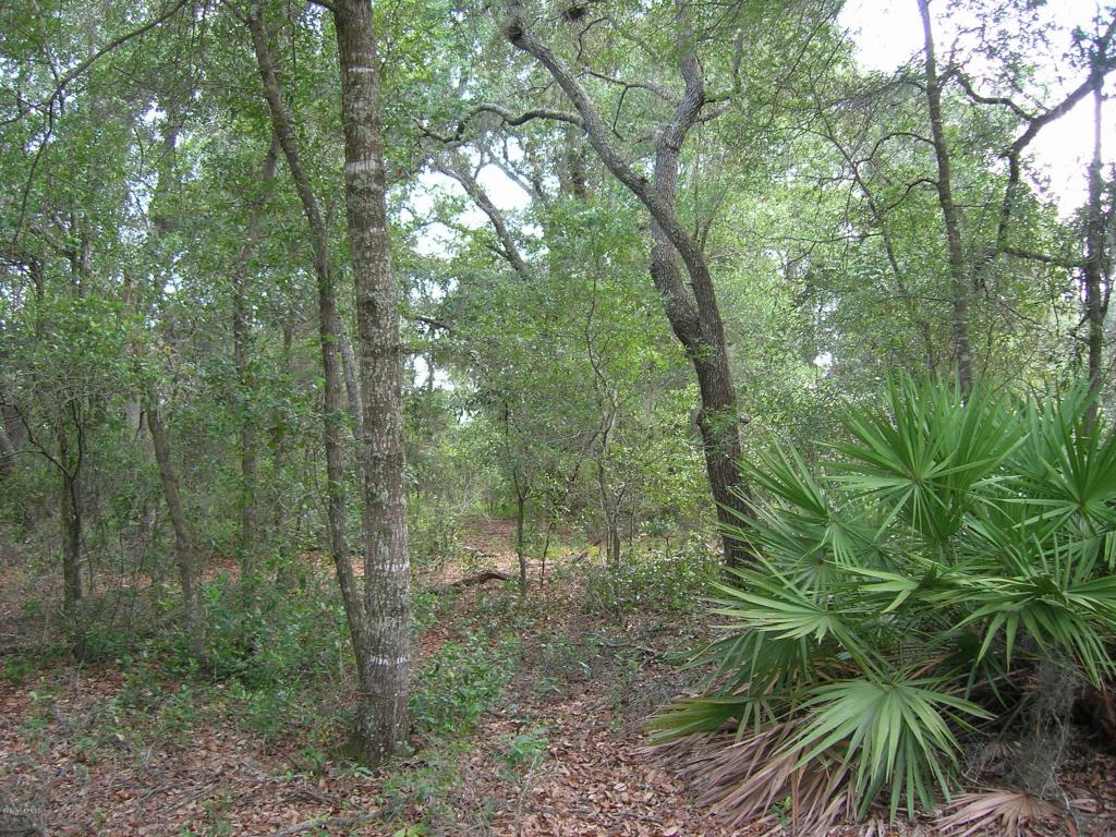 124 TIJUANA TRL, Melrose, FL 32666