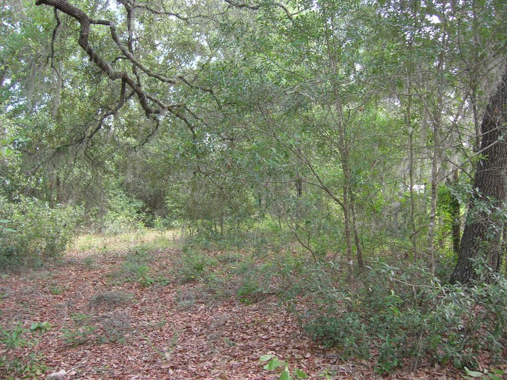 124 TIJUANA TRL, Melrose, FL 32666