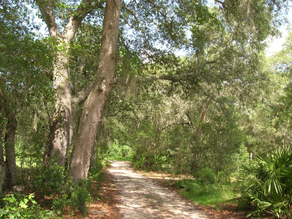 124 TIJUANA TRL, Melrose, FL 32666