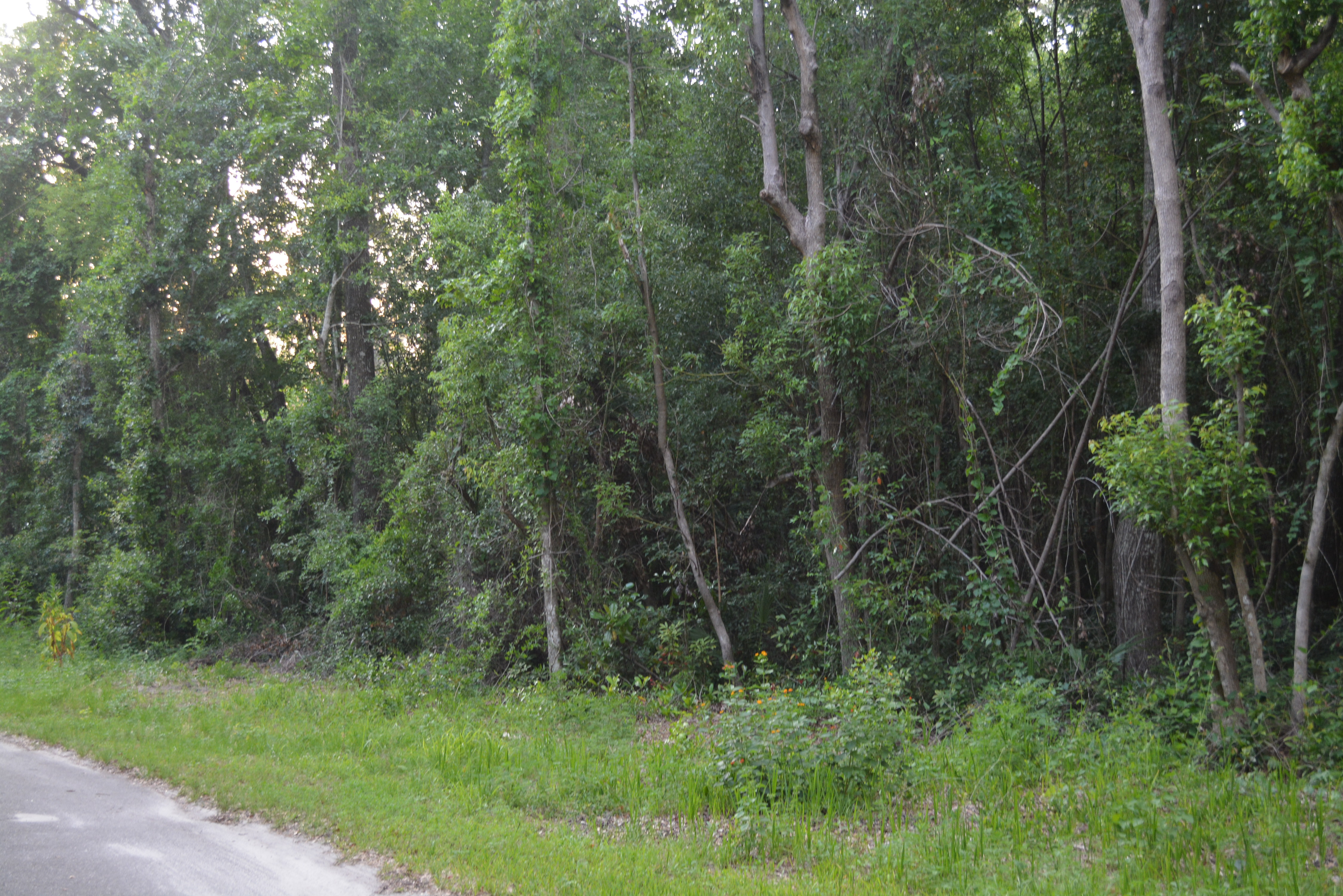 835 State Road 21, Melrose, FL 32666