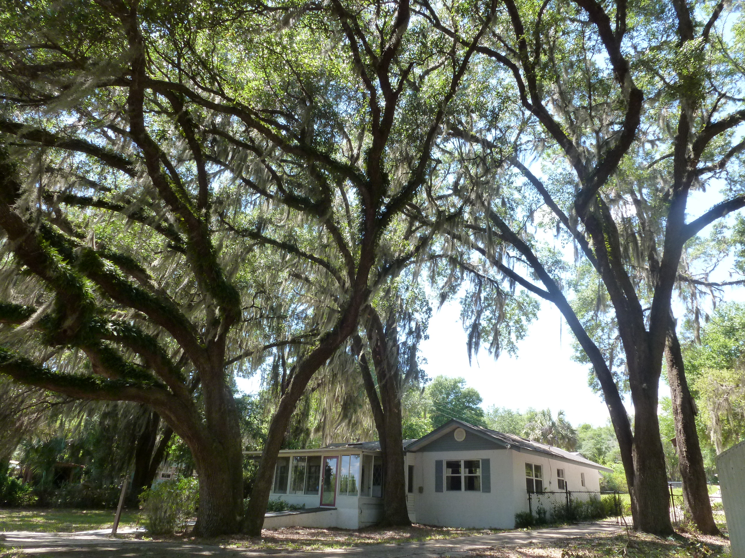 132 Serenity Dr, Melrose, FL 32666
