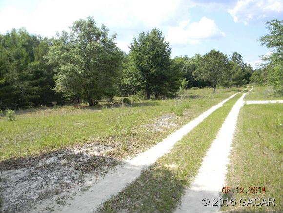 17608 Southeast 26th Street, Micanopy, FL 32667