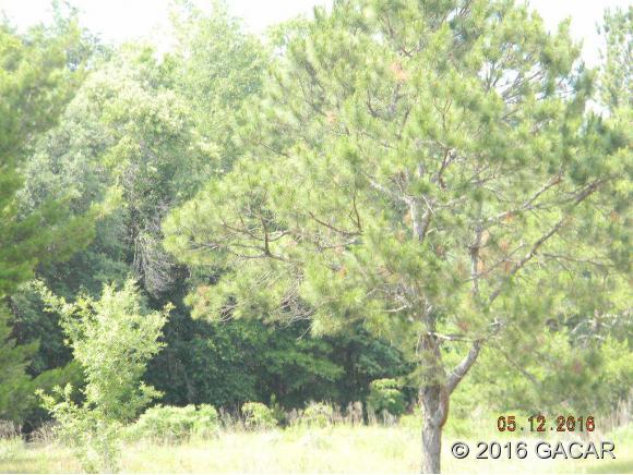 17608 Southeast 26th Street, Micanopy, FL 32667