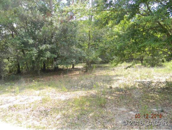 17608 Southeast 26th Street, Micanopy, FL 32667
